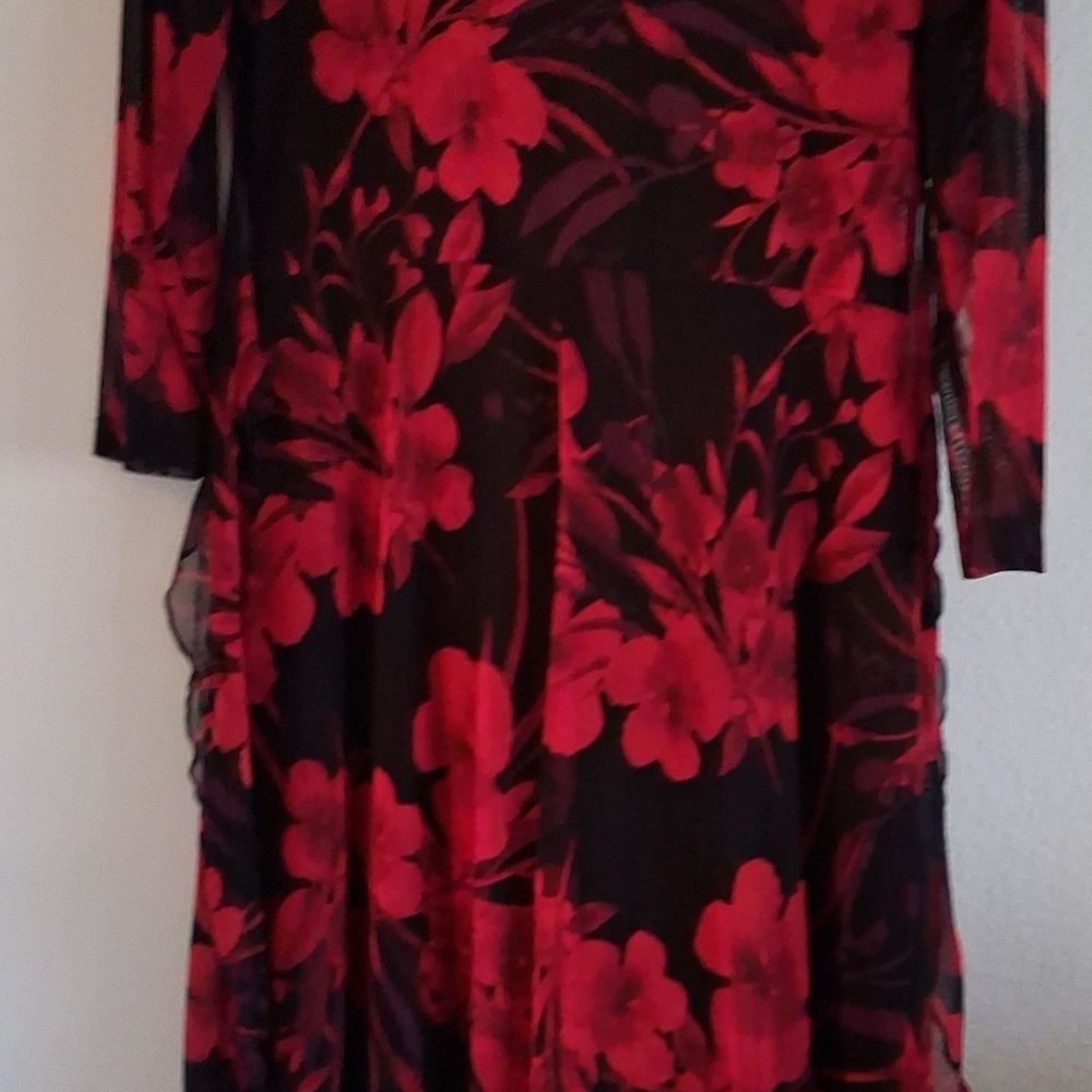 Canyon River Red Floral Long Sleeve Mesh Dress